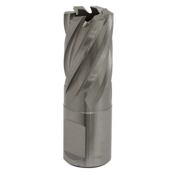 Sealey RBHSS19S Rotabor Cutter HSS Ø19mm - Cut Depth 25mm 1 Sealey RBHSS19S Rotabor Cutter HSS Ø19mm - Cut Depth 25mm